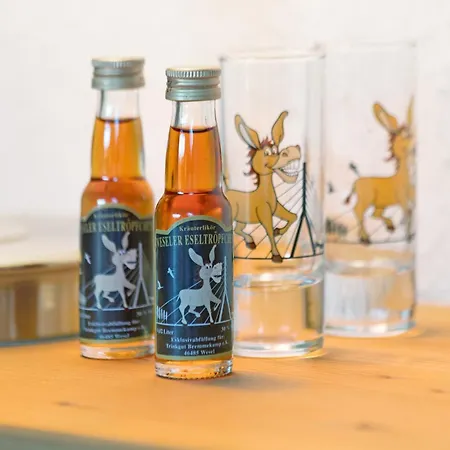 Obrighoven Apartamento *