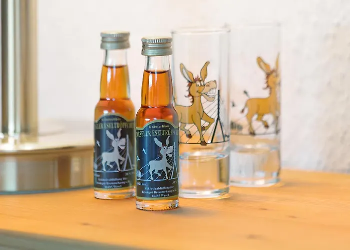 Obrighoven Appartement *